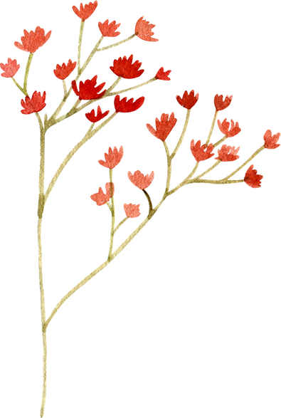 Watercolor branch with red flowers